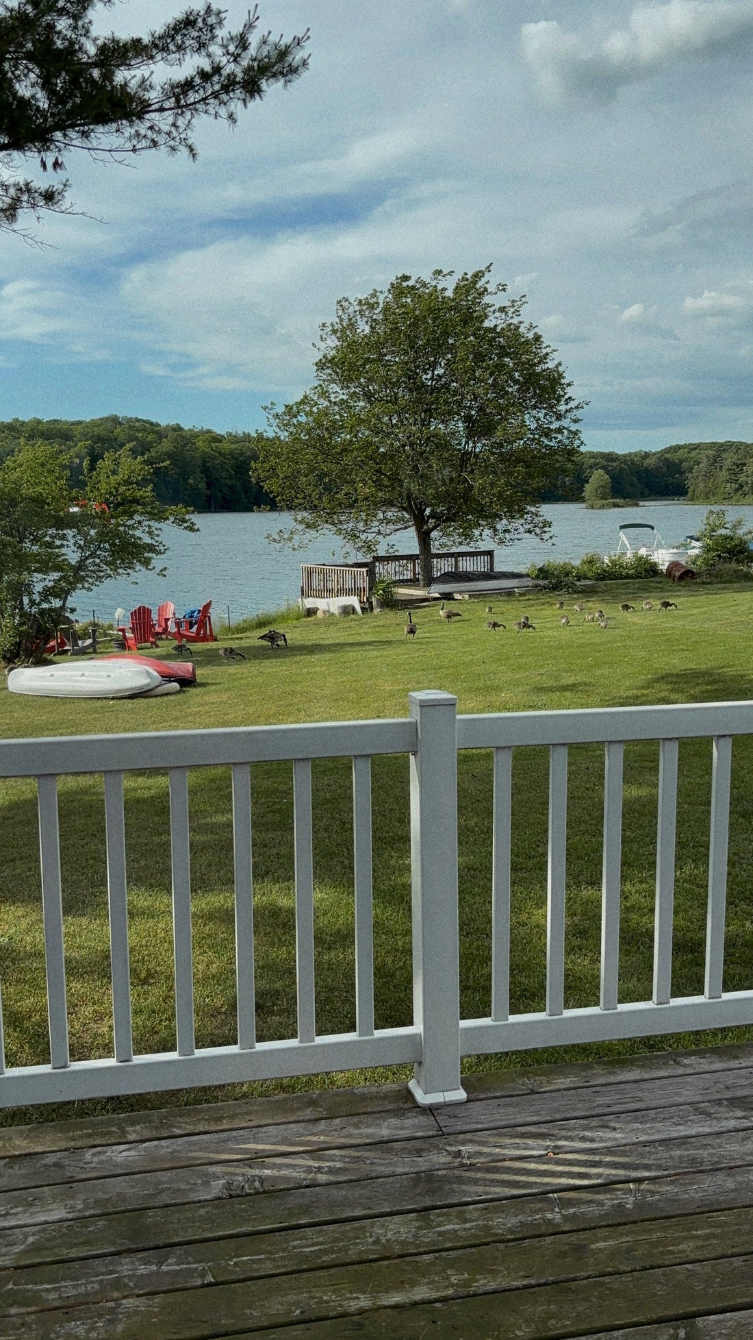 Why Cottage Mornings Never Get Old