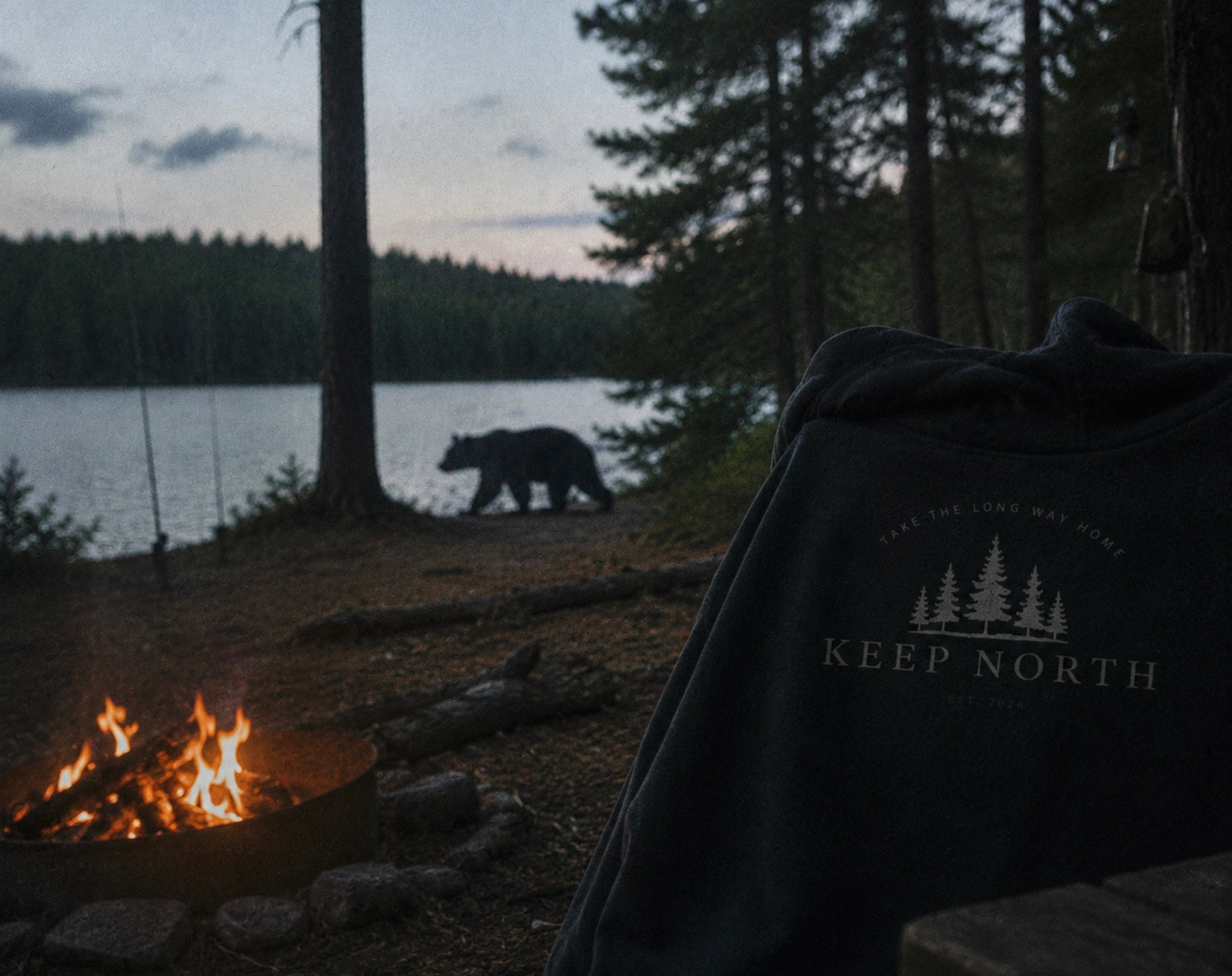 Why Black Bears Don’t Scare Me While Camping