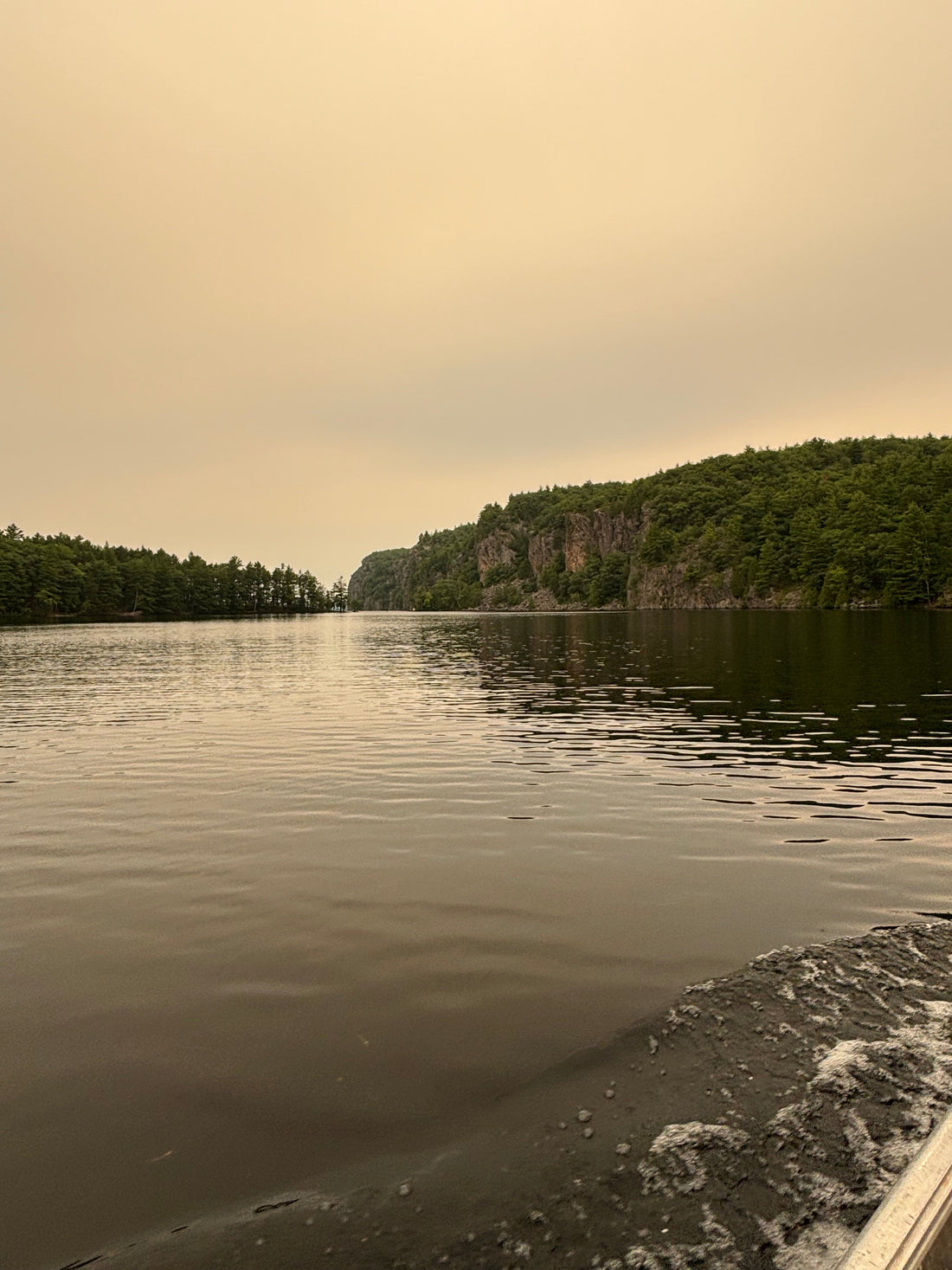Healthy Parks, Healthy People: Why Nature Is One of the Best Things You Can Do for Yourself