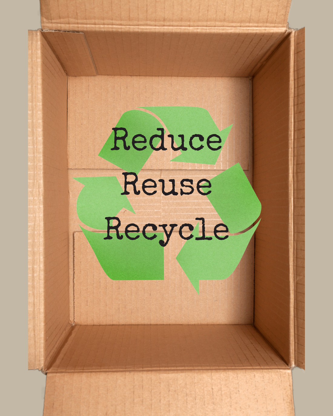 Why Your Keep North Order Might Arrive in a Reused Box 📦🌲